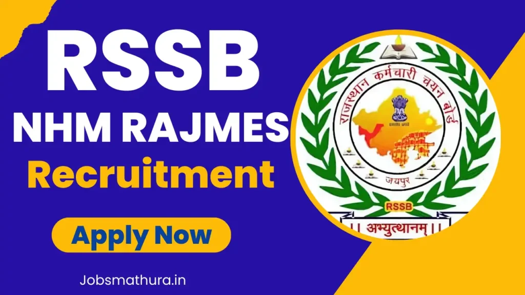 RSSB NHM RAJMES Recruitment 2025